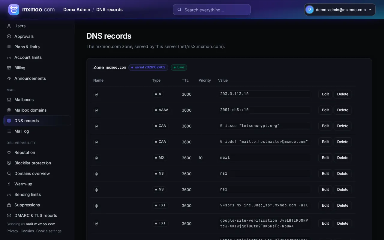 DNS records screen